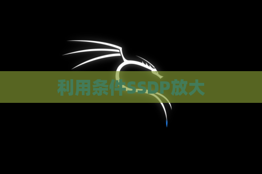 利用条件SSDP放大