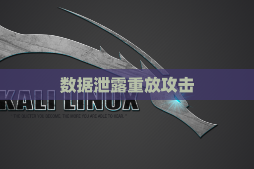 数据泄露重放攻击