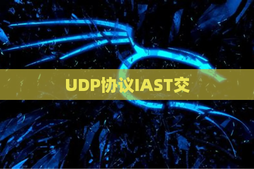 UDP协议IAST交