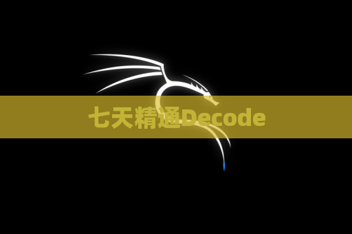 七天精通Decode