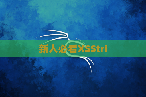新人必看XSStri
