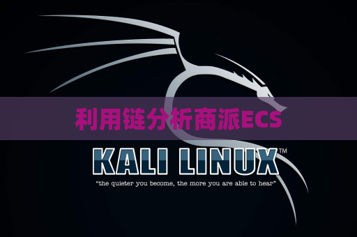 利用链分析商派ECS