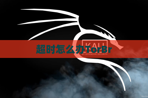 超时怎么办TorBr