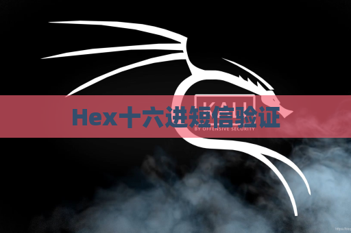 Hex十六进短信验证