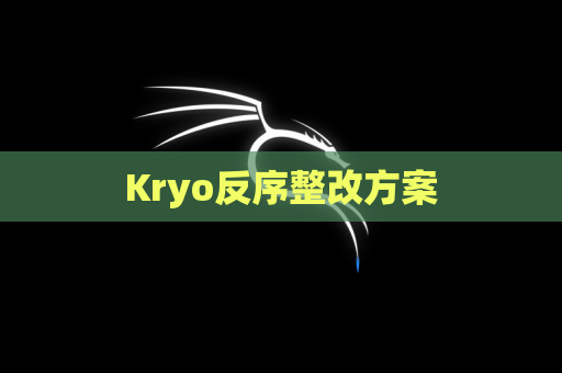 Kryo反序整改方案