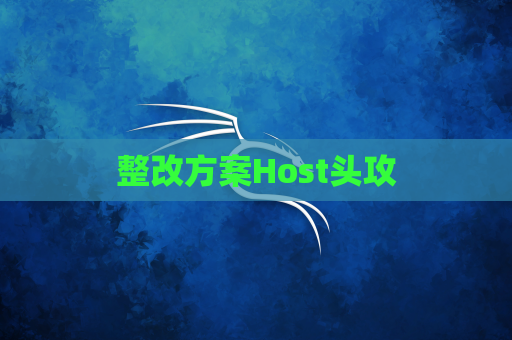 整改方案Host头攻