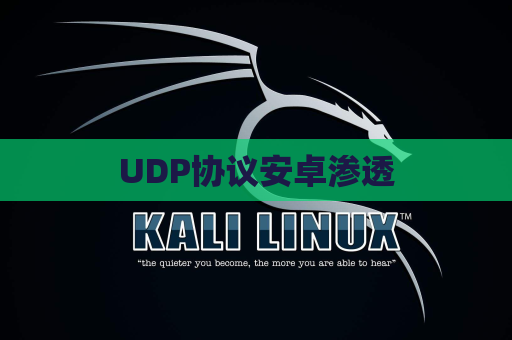 UDP协议安卓渗透