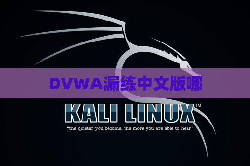 DVWA漏练中文版哪