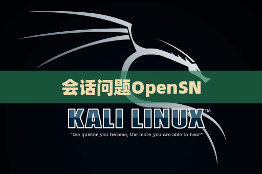 会话问题OpenSN