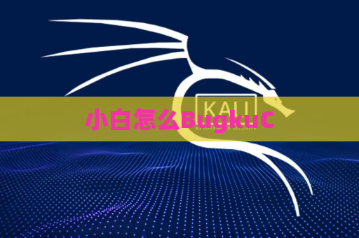 小白怎么BugkuC