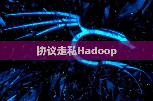 协议走私Hadoop