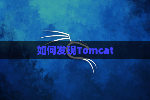 如何发现Tomcat