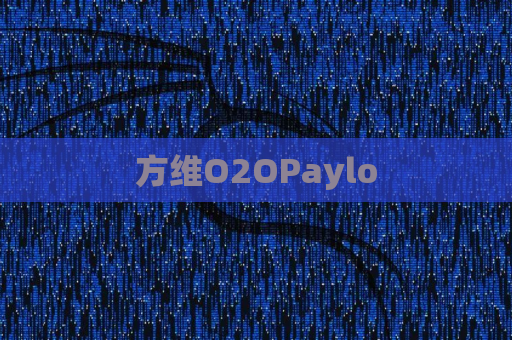 方维O2OPaylo