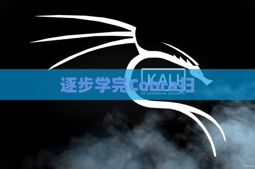 逐步学完Cobra扫