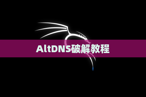 AltDNS破解教程