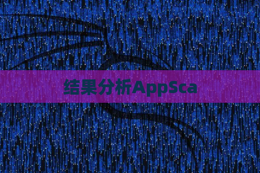 结果分析AppSca