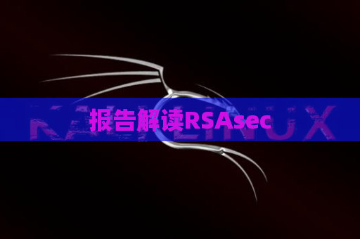 报告解读RSAsec