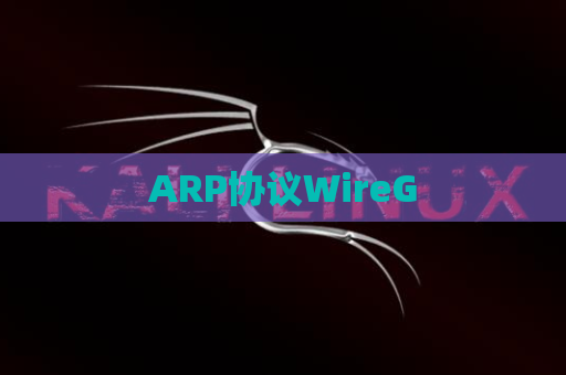 ARP协议WireG