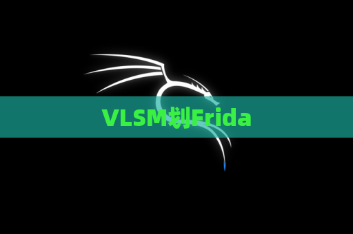 VLSM划Frida