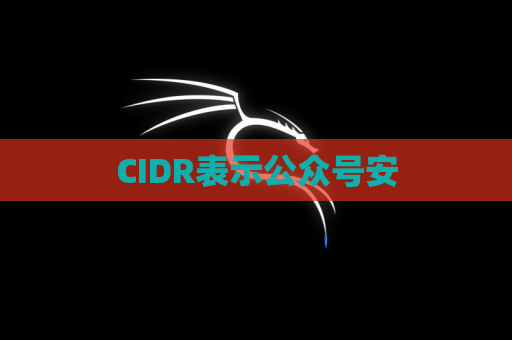 CIDR表示公众号安