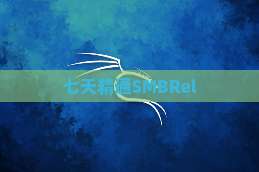 七天精通SMBRel
