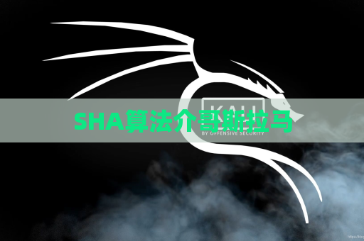 SHA算法介哥斯拉马