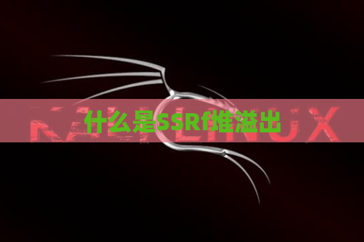 什么是SSRf堆溢出