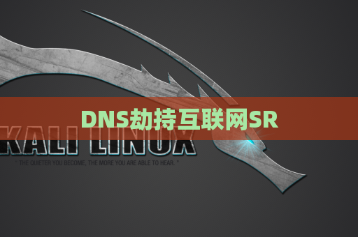 DNS劫持互联网SR