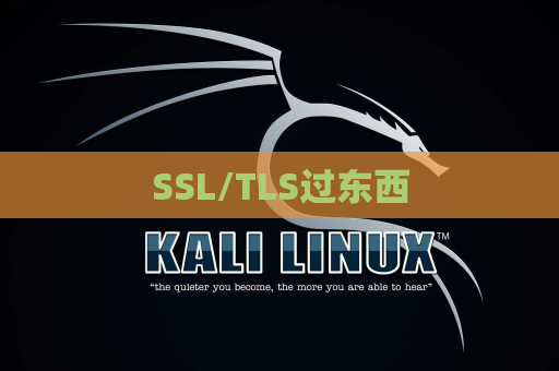 SSL/TLS过东西