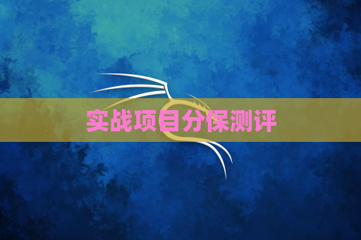 实战项目分保测评