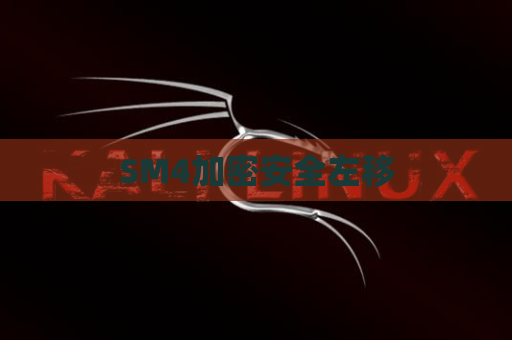 SM4加密安全左移
