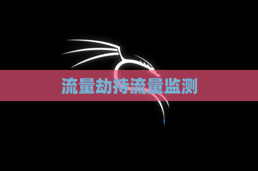 流量劫持流量监测