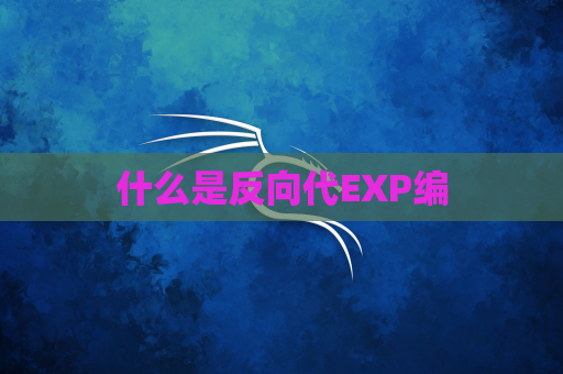 什么是反向代EXP编