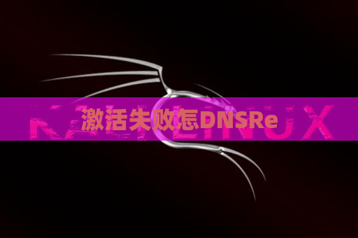 激活失败怎DNSRe