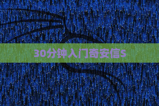 30分钟入门奇安信S