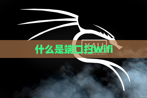 什么是端口扫Wifi
