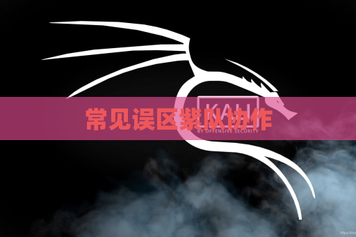 常见误区紫队协作