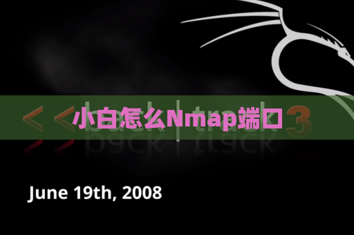 小白怎么Nmap端口