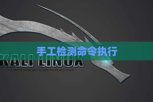 手工检测命令执行